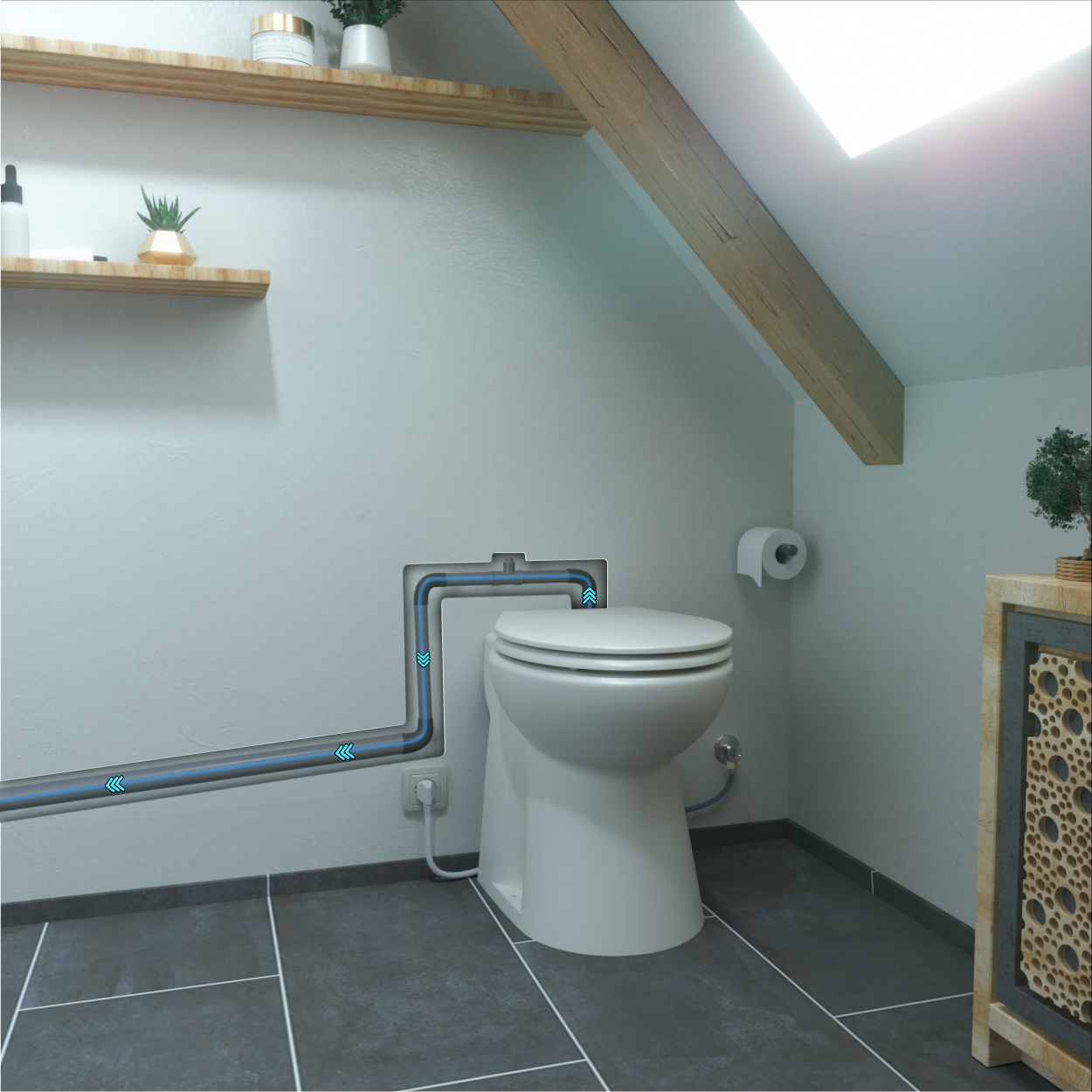Aquasani Compact
