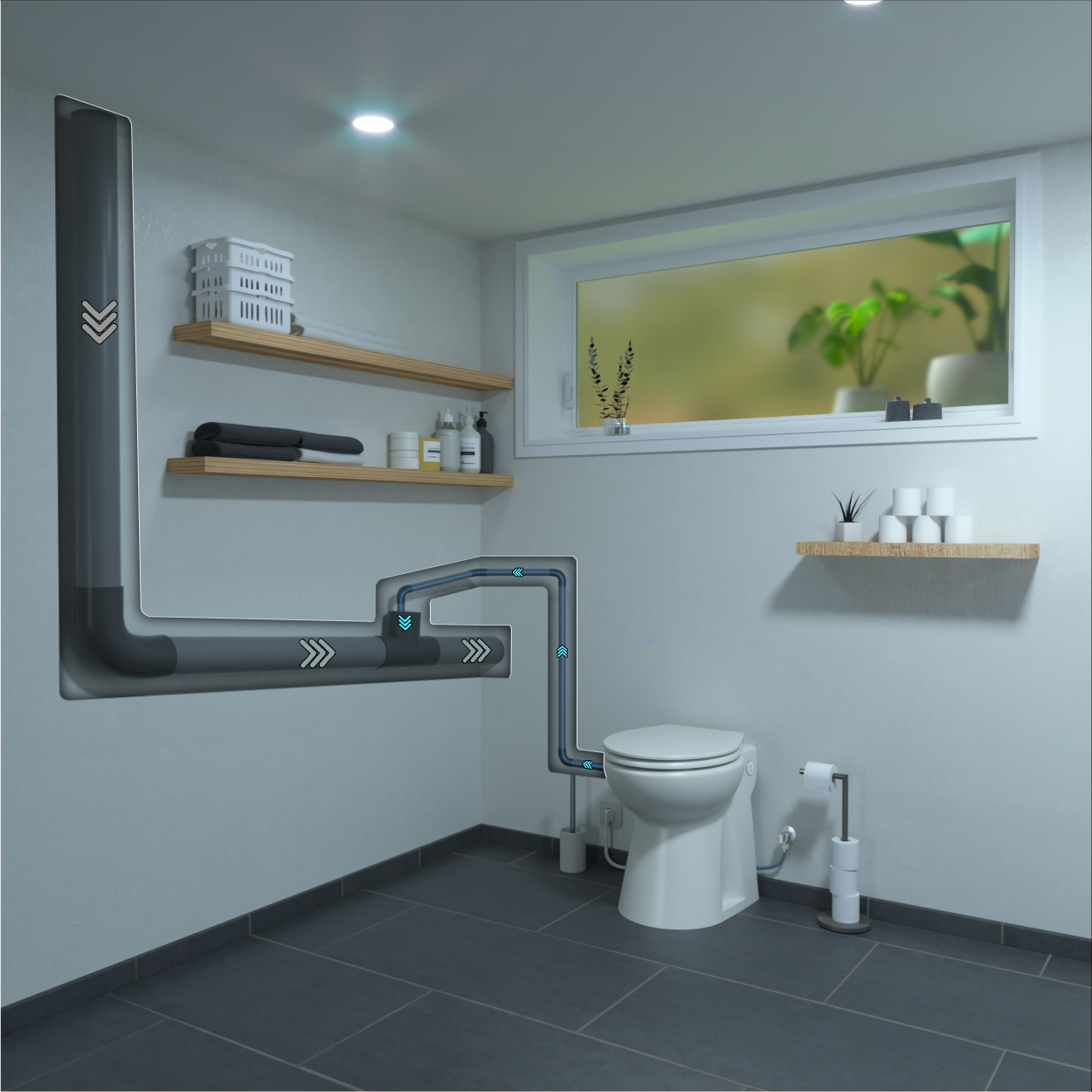 Aquasani Compact