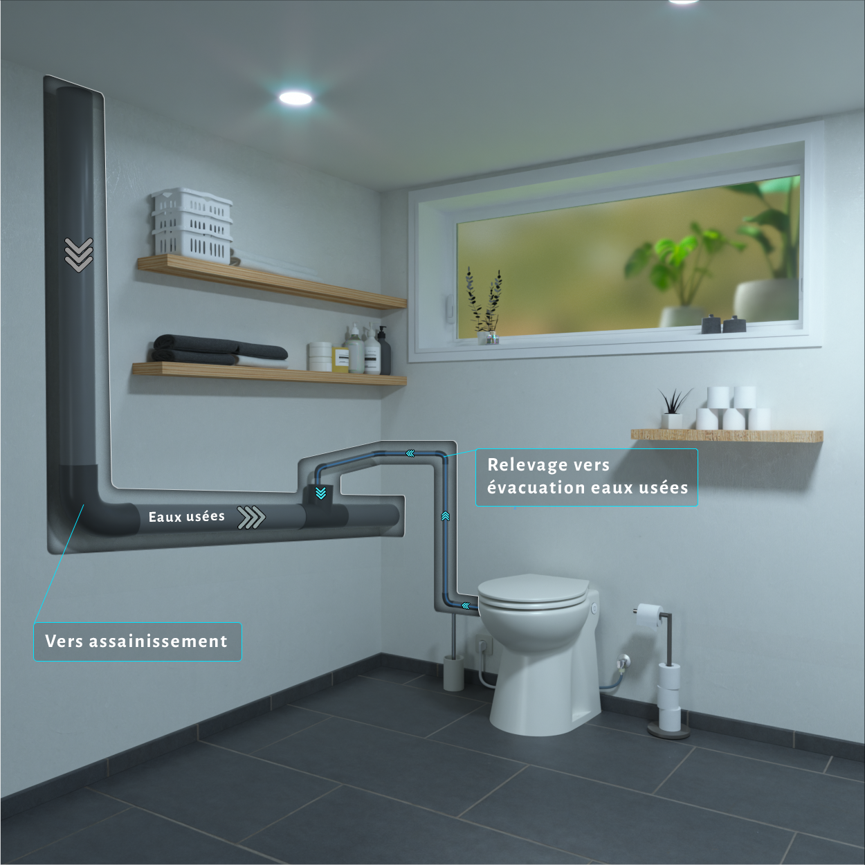 Aquasani Compact